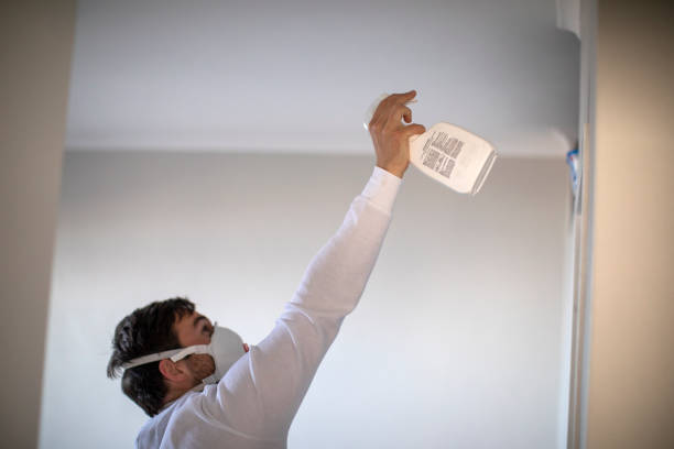 Best Commercial Mold Remediation in Glespie, IL