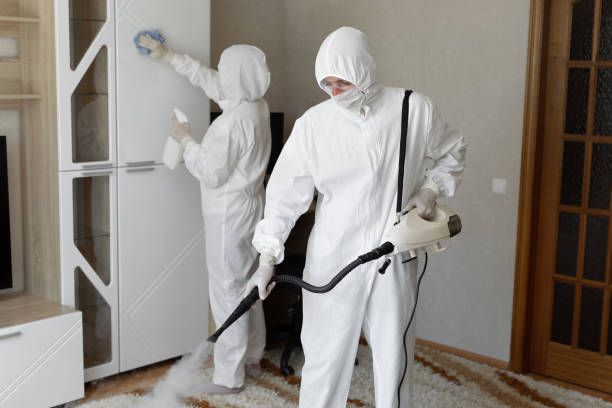 Best Emergency Mold Remediation in Glespie, IL